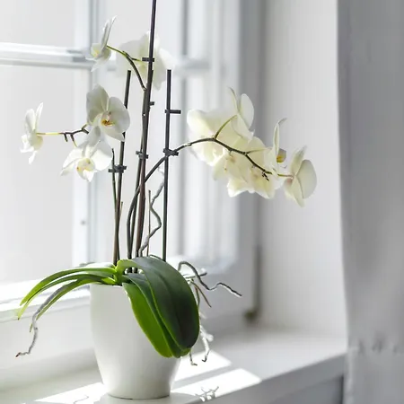 Guest house Zeihaeaenger Stubb 3*